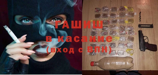 хмурый Алексин