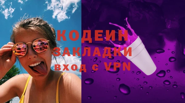хмурый Алексин