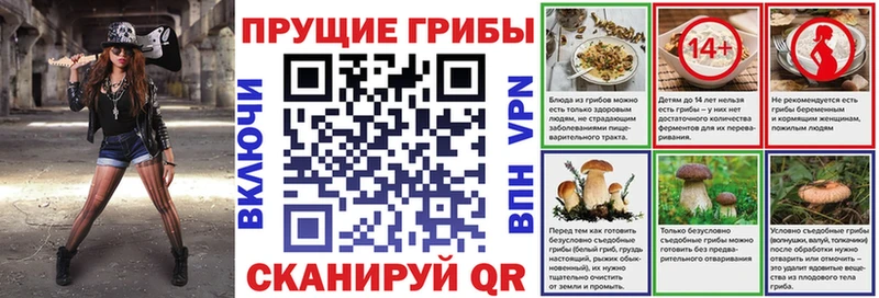Псилоцибиновые грибы мицелий цены Ярцево
